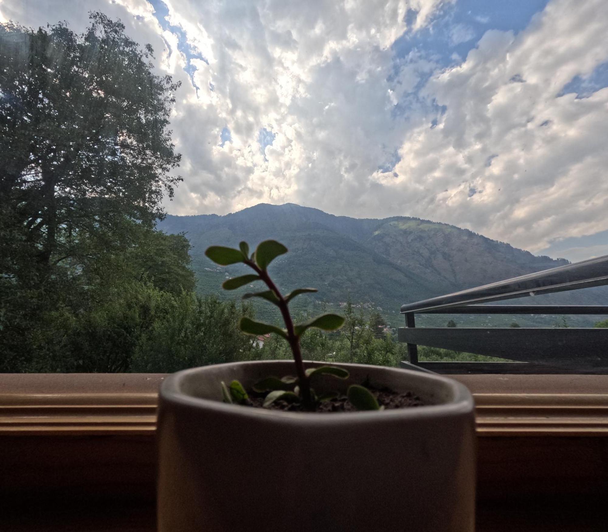 Saanjh - A Serene Retreat Manāli Екстериор снимка